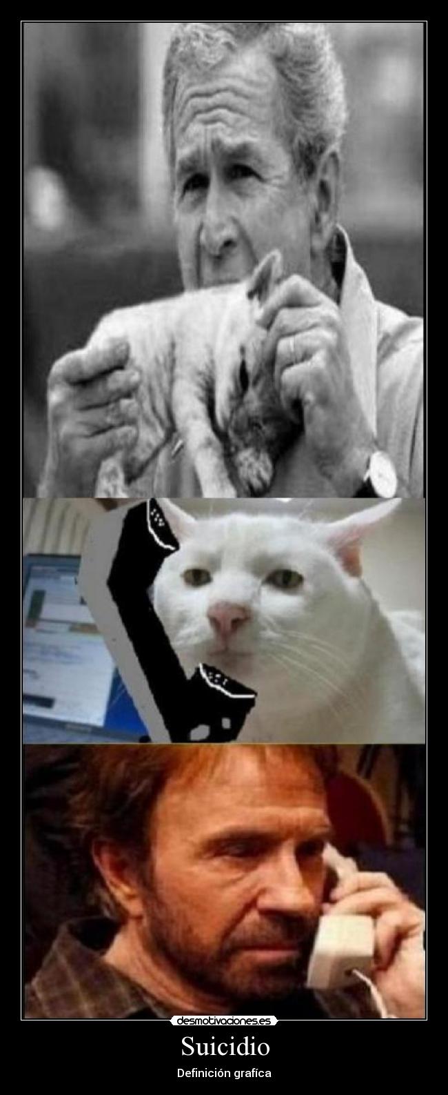 Suicidio - Definición grafíca