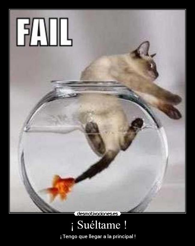 carteles sueltame llegar principal desmotivaciones