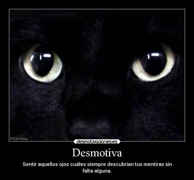 carteles gato intoxique ojos verdad desmotivaciones