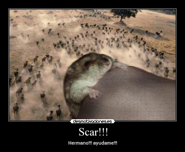 Scar!!! - 