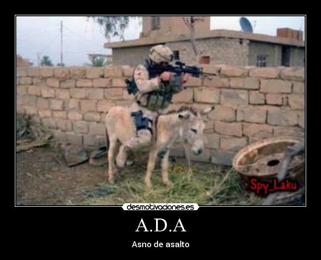 A.D.A - Asno de asalto