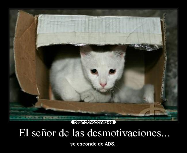 El señor de las desmotivaciones... -