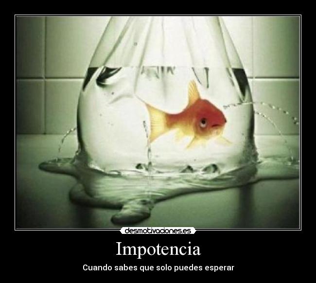 Impotencia - 