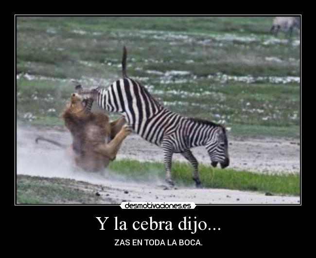 carteles mihaidoc desmotivaciones