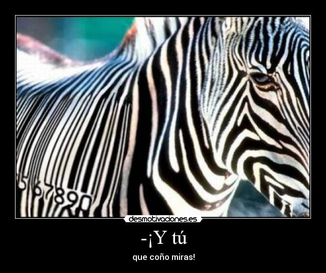 -¡Y tú - que coño miras!