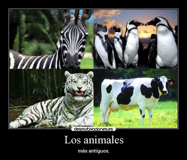 Los animales -