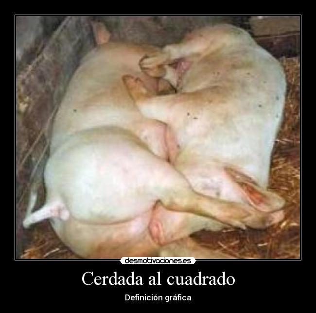 Cerdada al cuadrado - Definición gráfica