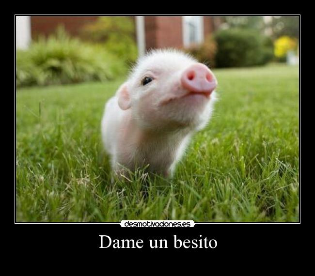 carteles humor desmotivaciones