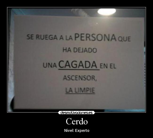 Cerdo -