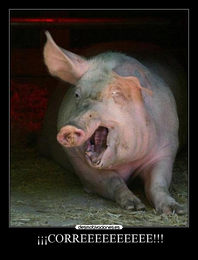 ¡¡¡CORREEEEEEEEEE!!! -