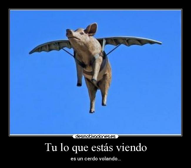 Tu lo que estás viendo -