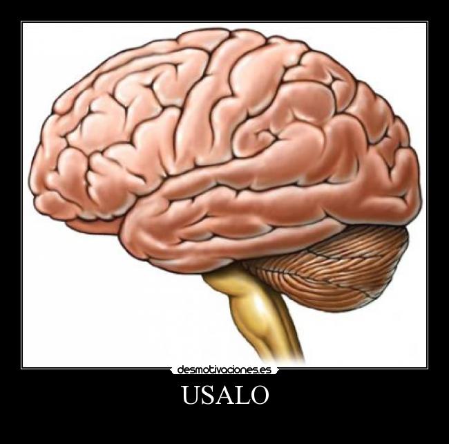 USALO -