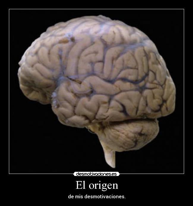 carteles cerebro desmotivaciones desmotivaciones