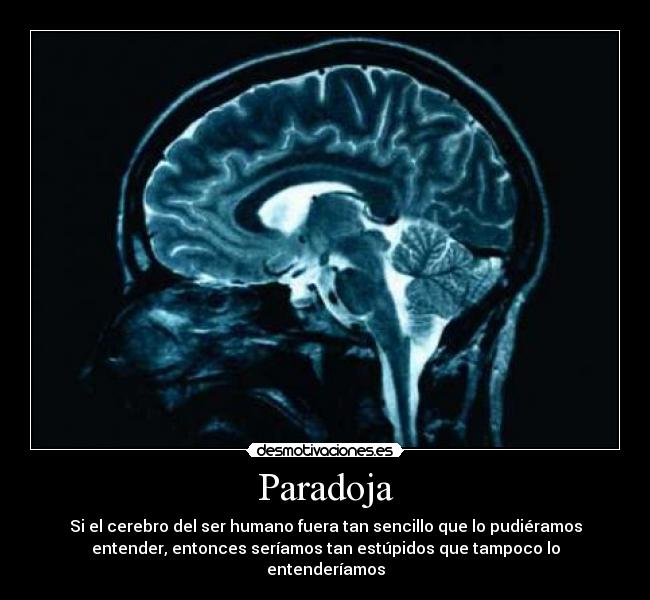 Paradoja - 