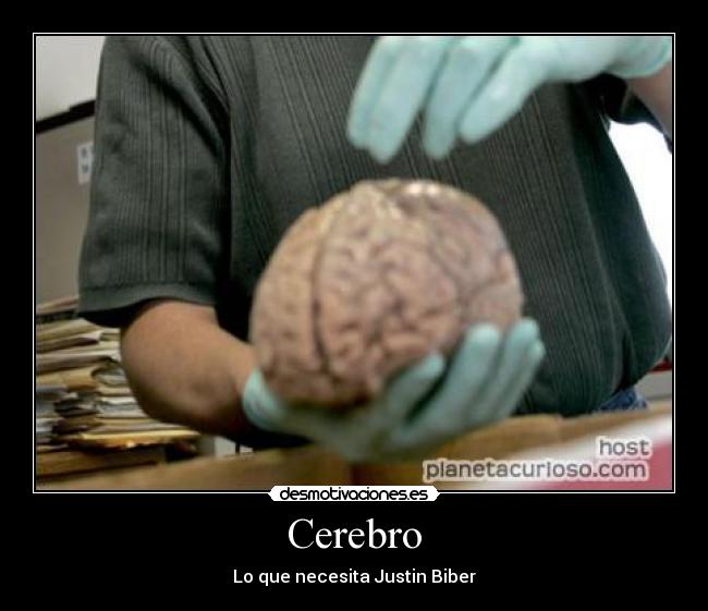 Cerebro -