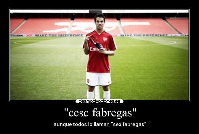 cesc fabregas -