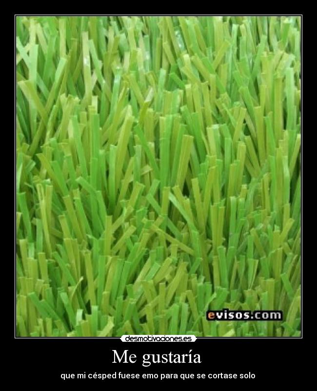 Me gustaría  - que mi césped fuese emo para que se cortase solo 