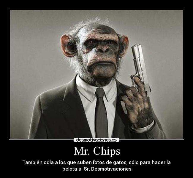 Mr. Chips -