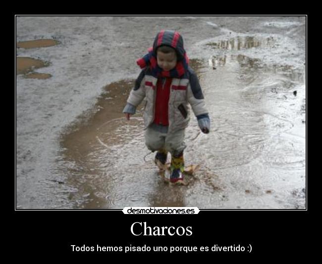 Charcos - Todos hemos pisado uno porque es divertido :)