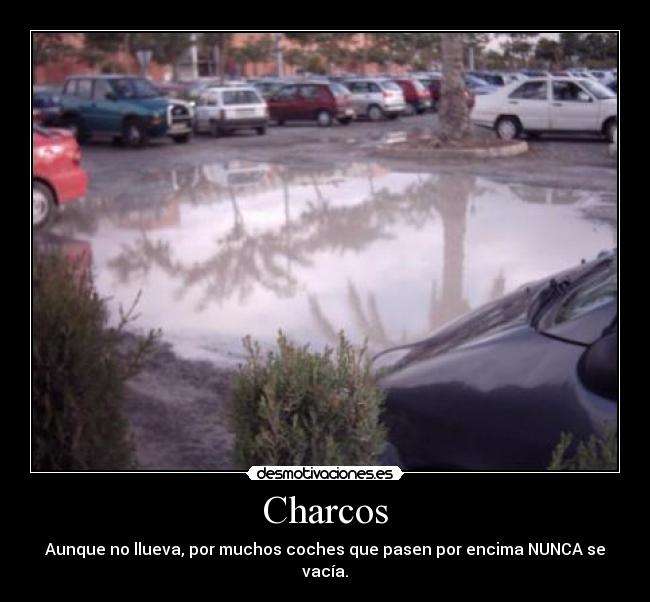 carteles aunque llueva por muchos coches que pasen por encima nunca vacia charcos desmotivaciones