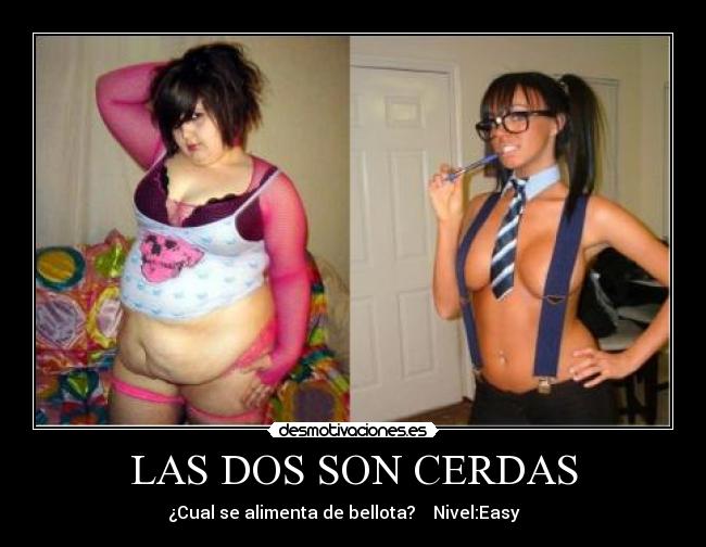 LAS DOS SON CERDAS -