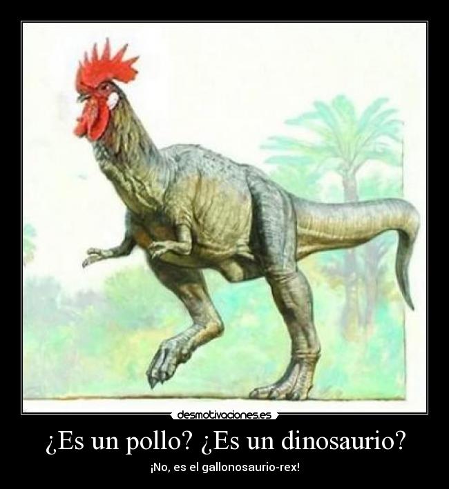 ¿Es un pollo? ¿Es un dinosaurio? - 