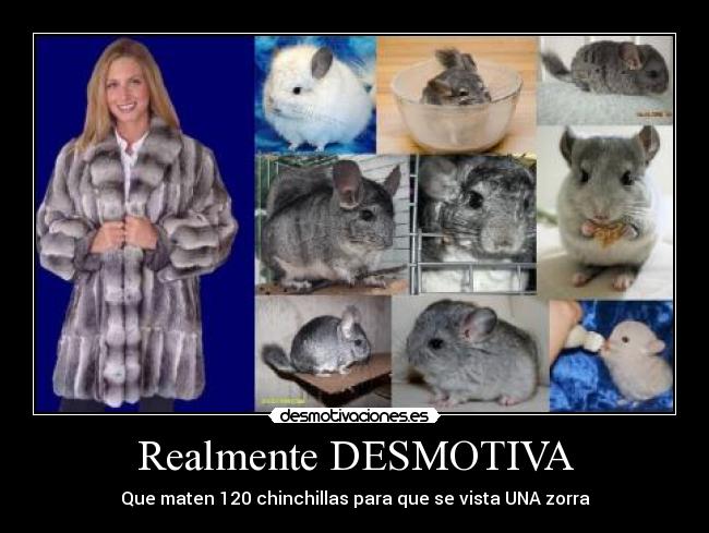 Realmente DESMOTIVA - 