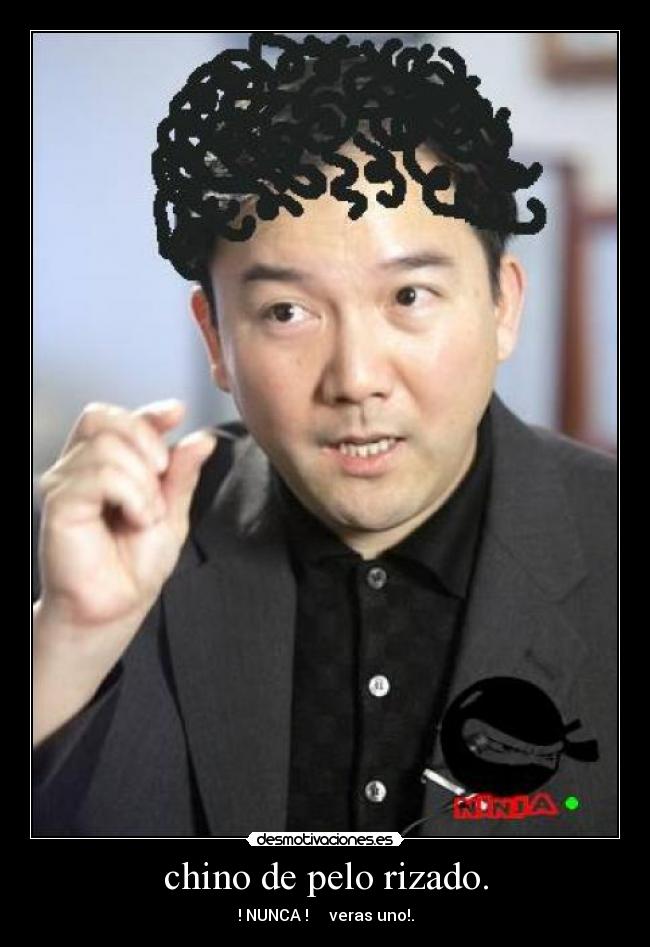 chino de pelo rizado. -