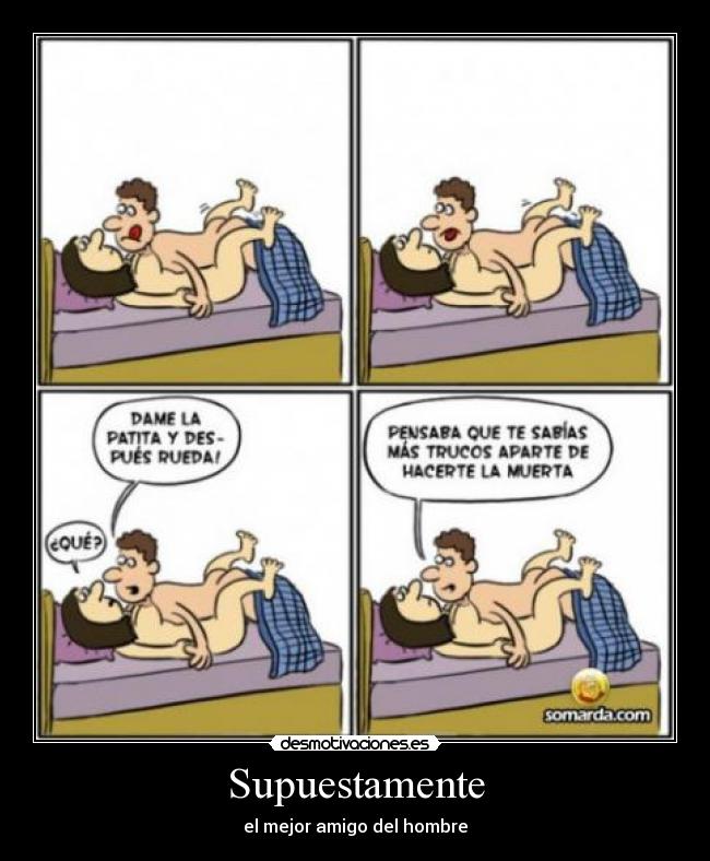 Supuestamente - el mejor amigo del hombre