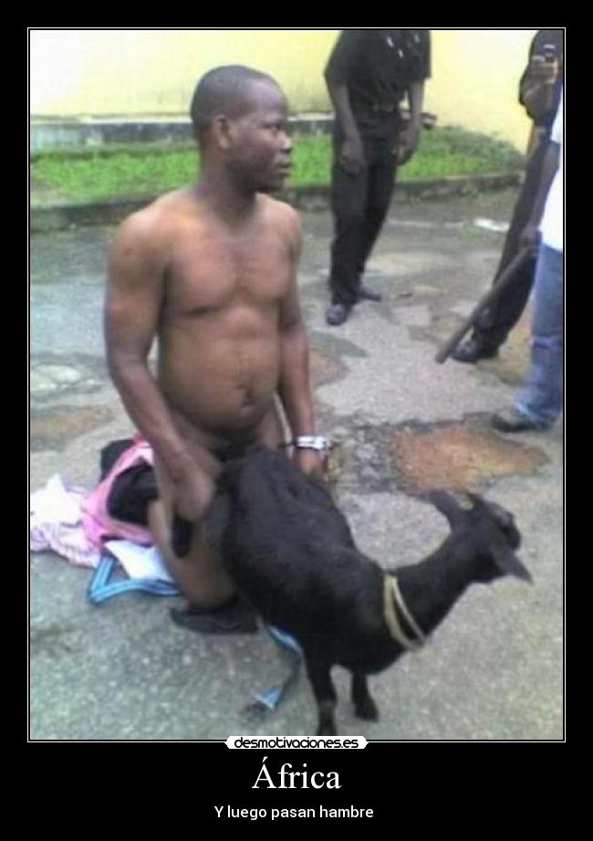 África - Y luego pasan hambre 