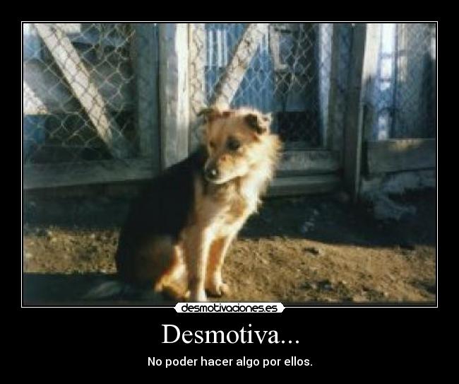Desmotiva... -