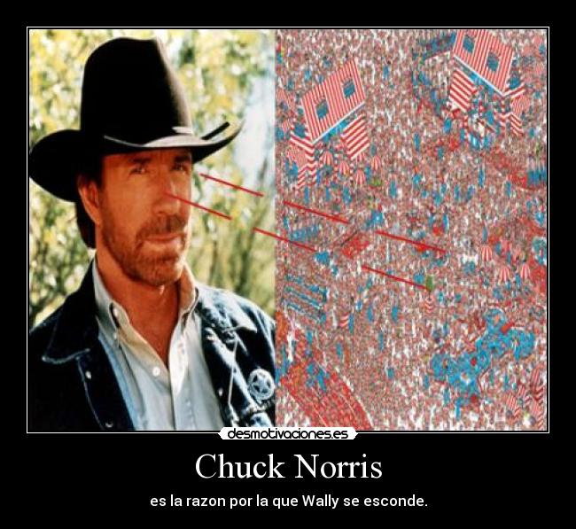 Chuck Norris - es la razon por la que Wally se esconde.