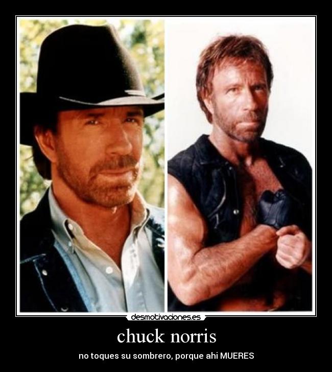 chuck norris -