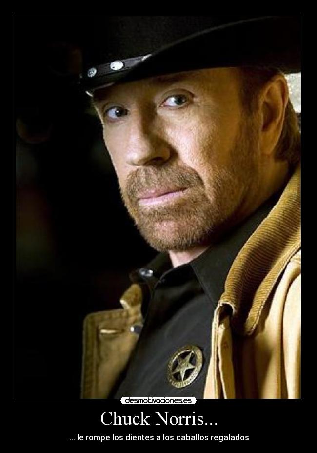 Chuck Norris... - ... le rompe los dientes a los caballos regalados
