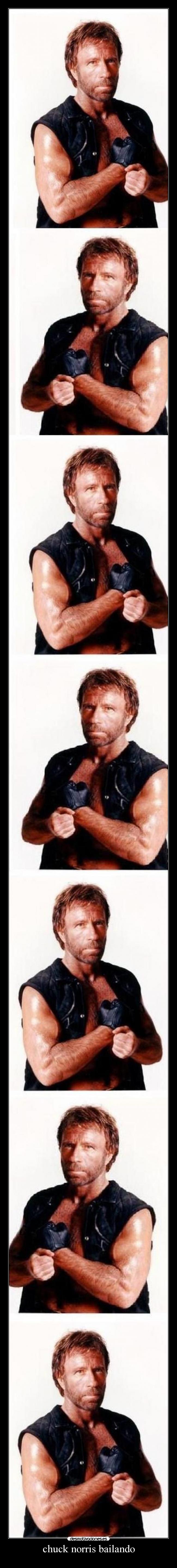 chuck norris bailando -