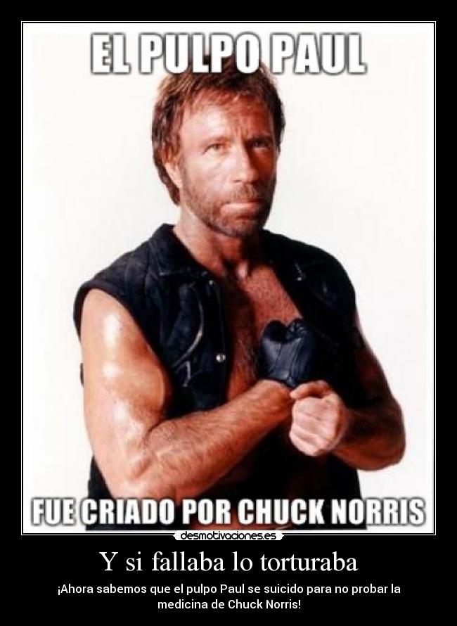 Y si fallaba lo torturaba - ¡Ahora sabemos que el pulpo Paul se suicido para no probar la
medicina de Chuck Norris!