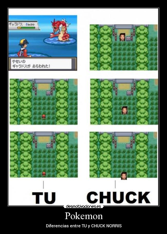 Pokemon - Diferencias entre TU y CHUCK NORRIS