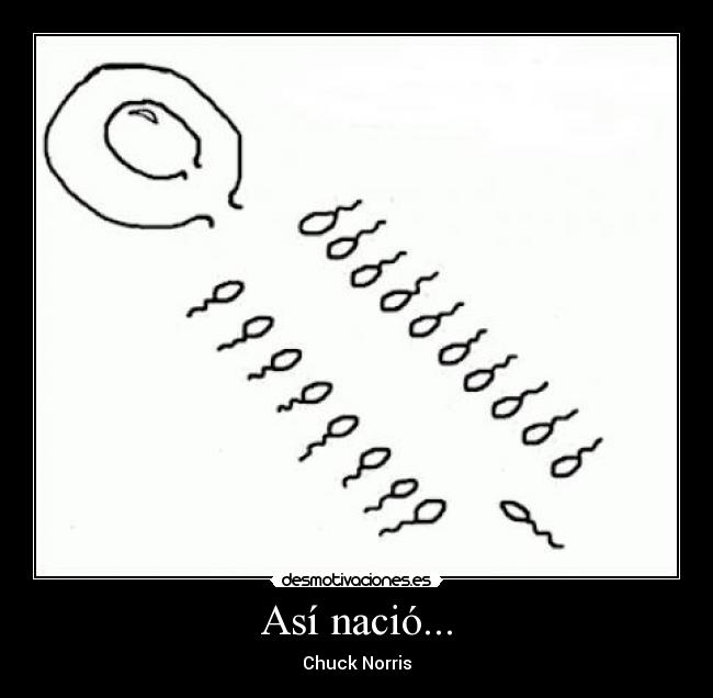 Así nació... - 