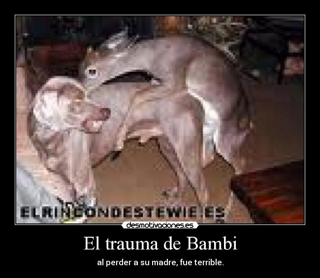 carteles sanarkand desmotivaciones