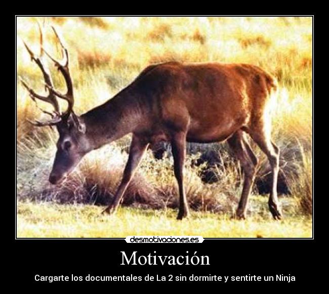 Motivación - Cargarte los documentales de La 2 sin dormirte y sentirte un Ninja