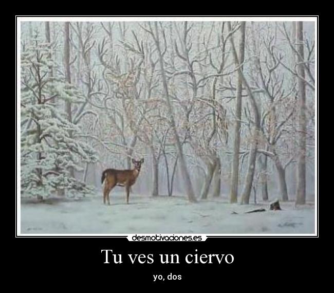 Tu ves un ciervo -