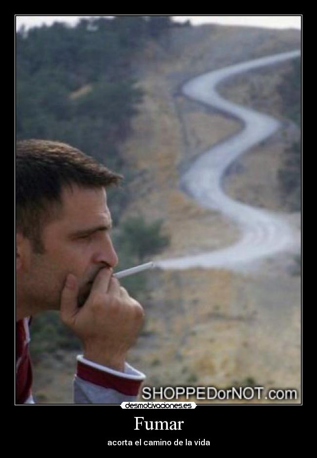 Fumar - 