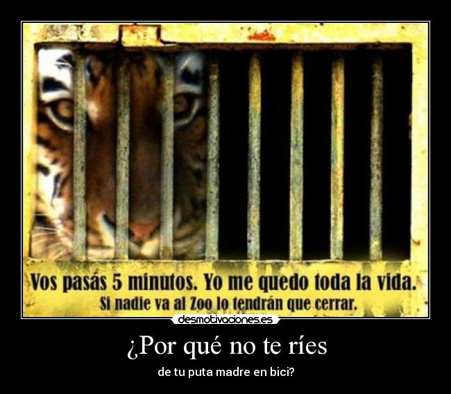 ¿Por qué no te ríes -