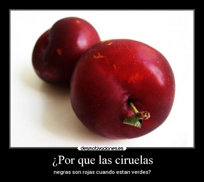 ¿Por que las ciruelas - negras son rojas cuando estan verdes?