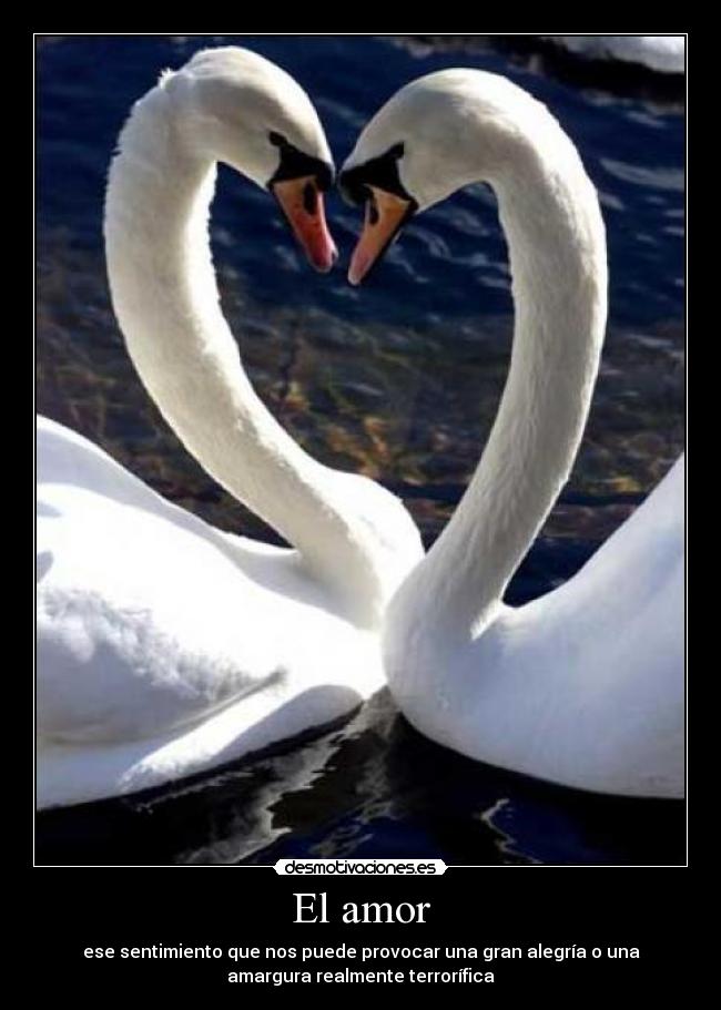 El amor - ese sentimiento que nos puede provocar una gran alegría o una
amargura realmente terrorífica