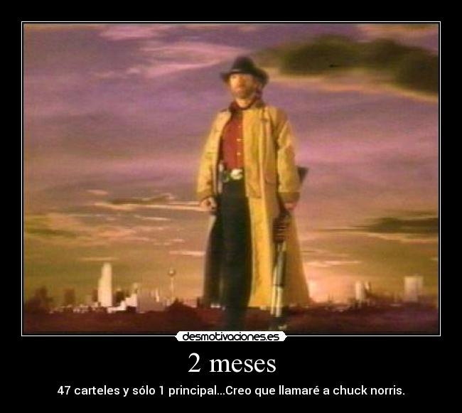2 meses - 