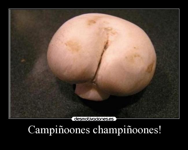 Campiñoones champiñoones! -
