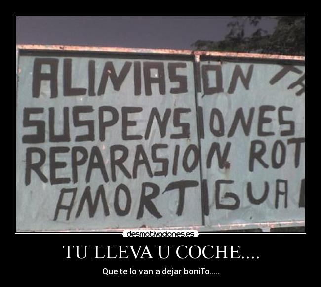 TU LLEVA U COCHE.... - 