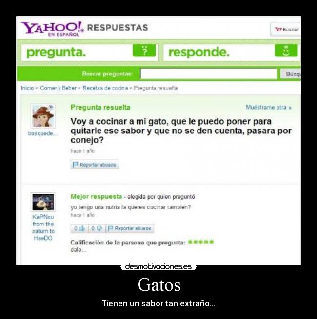 Gatos - Tienen un sabor tan extraño...