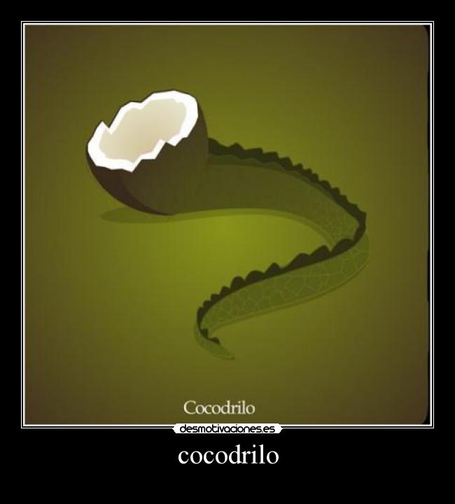 cocodrilo - 